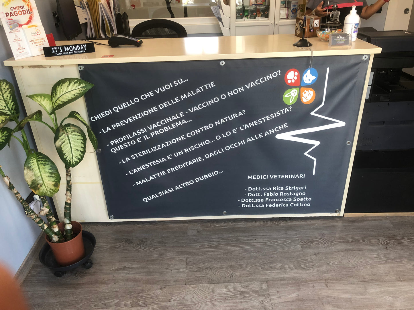CARTELLONISTICA - INSEGNE - STRISCIONI - ROLL UP - BANDIERE
