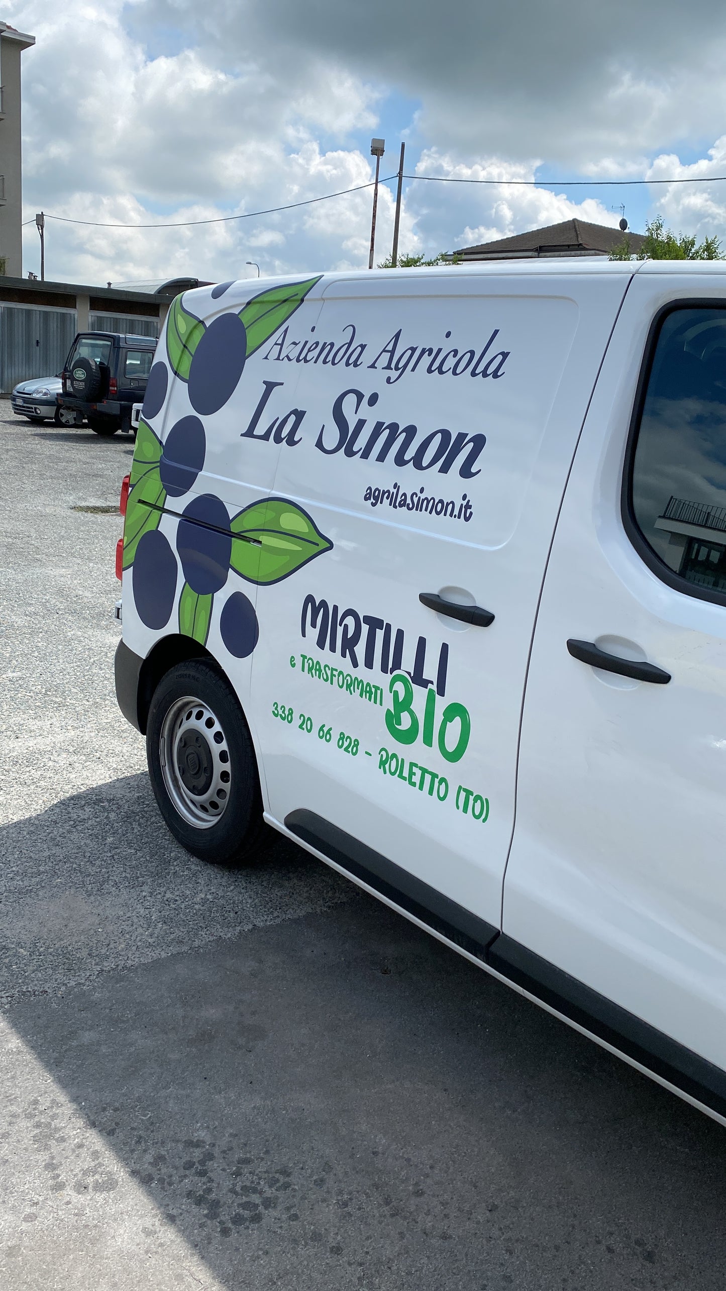 DECORAZIONE MEZZI E CAR WRAPPING
