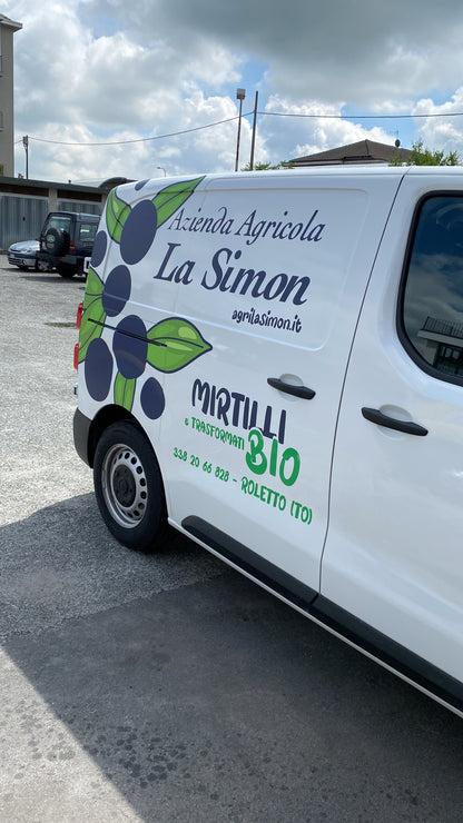 DECORAZIONE MEZZI E CAR WRAPPING